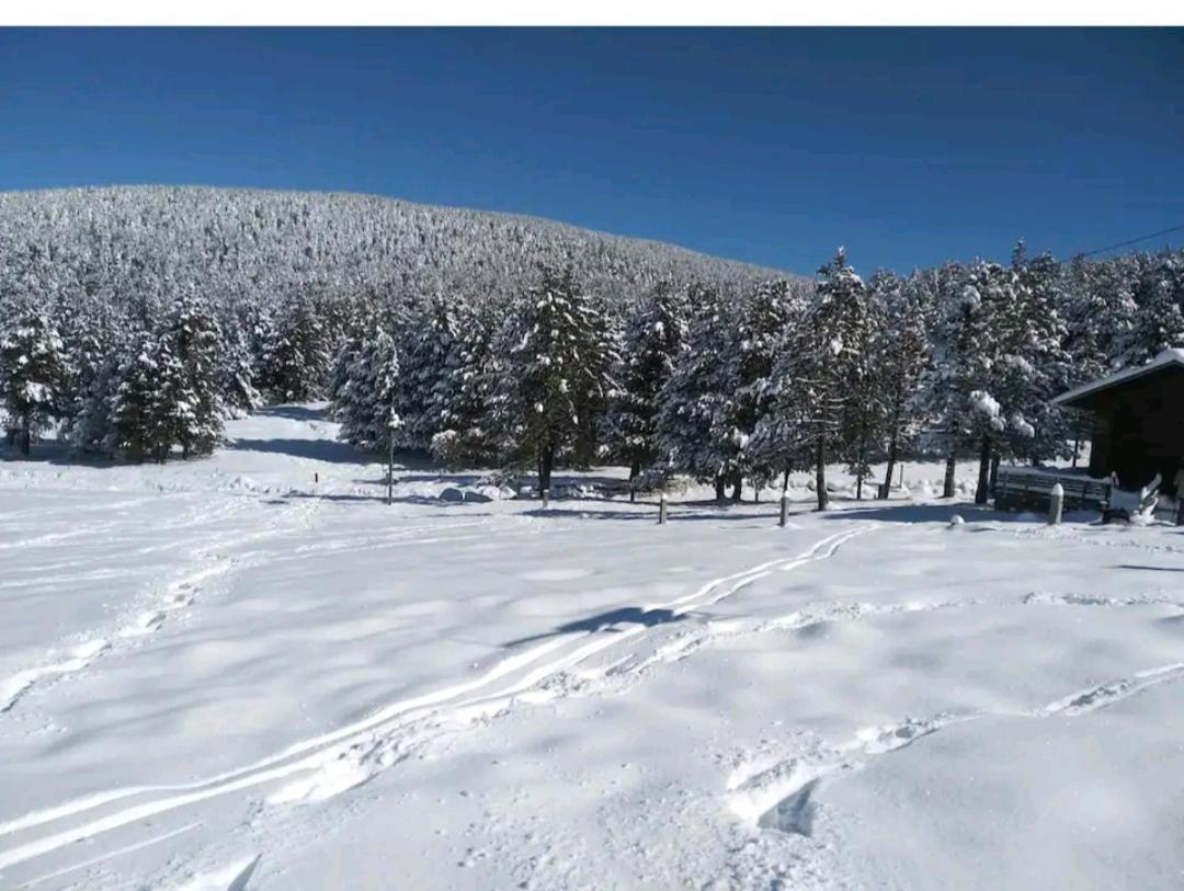 Apartamento en el pirineo catalan Sant Jordi de Cercs Exterior foto